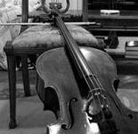 violonchel