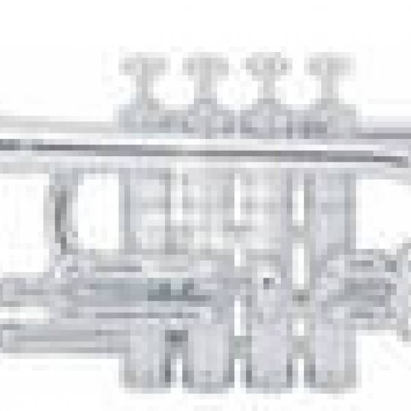 Труба - музыкальный инструмент